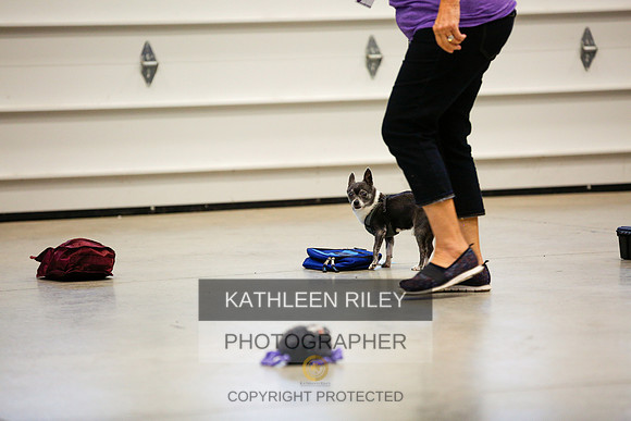 2022-KathleenRileyPhotography-7249