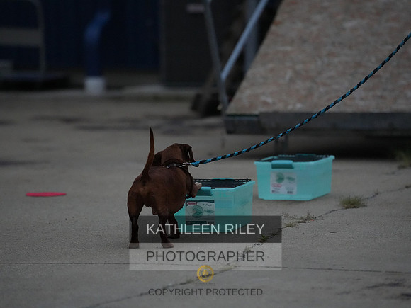 2022-KathleenRileyPhotography120