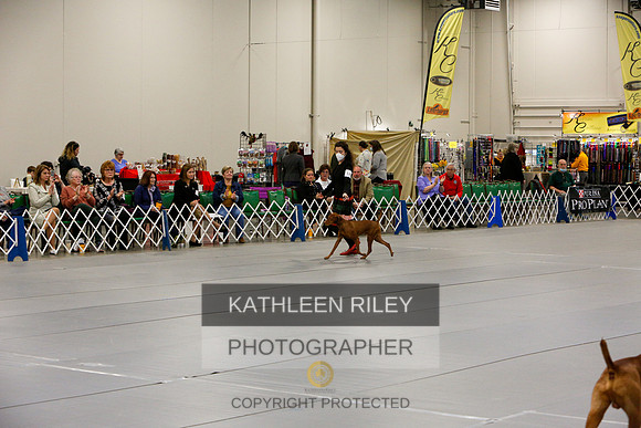 2022-KathleenRileyPhotography-5787