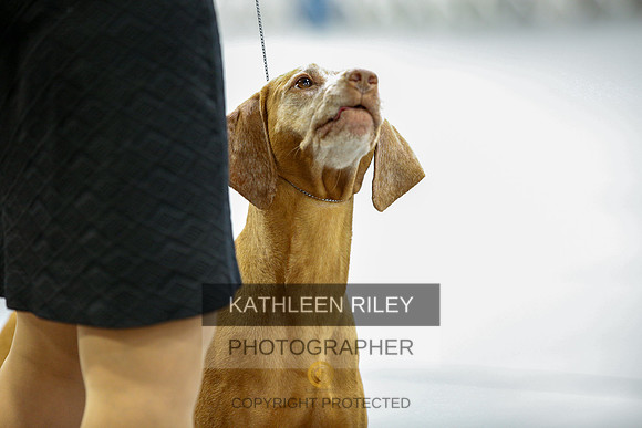 2022-KathleenRileyPhotography-9995