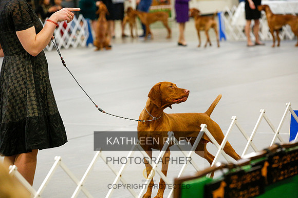 2022-KathleenRileyPhotography-1047