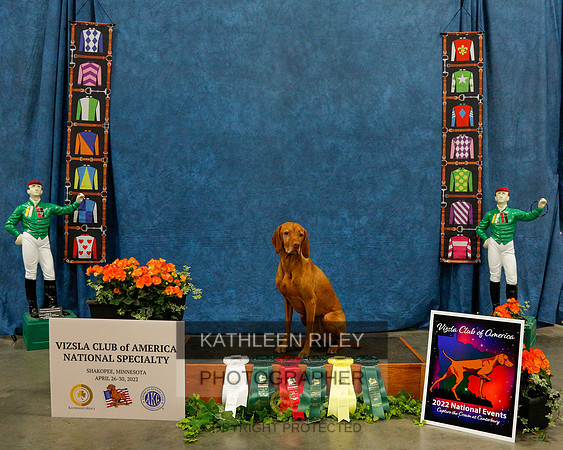 2022-KathleenRileyPhotography-6137