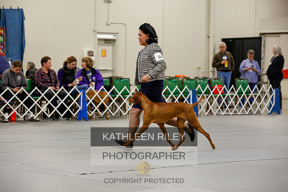 2022-KathleenRileyPhotography-9546