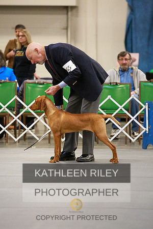 2022-KathleenRileyPhotography-8539