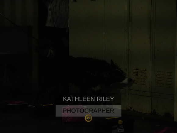 2022-KathleenRileyPhotography083