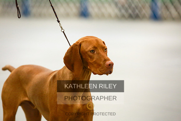 2022-KathleenRileyPhotography-8493