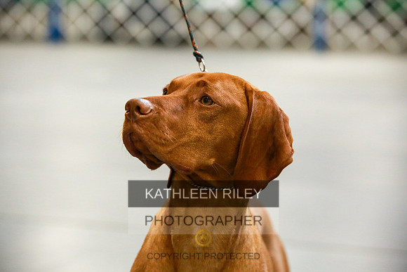 2022-KathleenRileyPhotography-8681