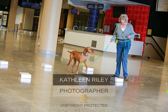 2022-KathleenRileyPhotography-7551