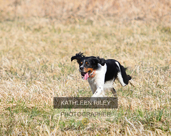 2021-04-22-AmyKleine-6707