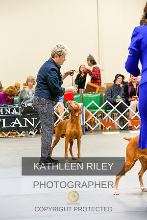 2022-KathleenRileyPhotography-3176