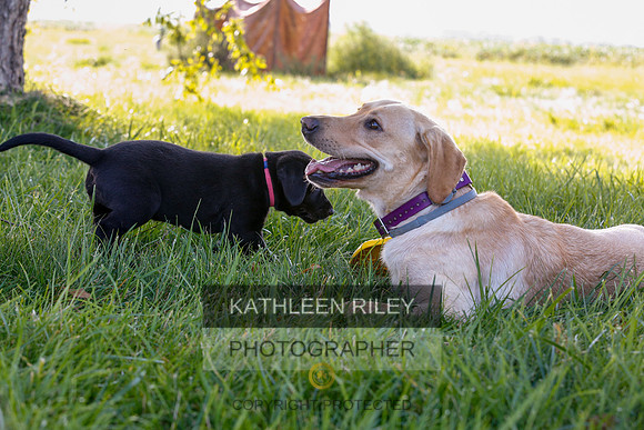2022-KathleenRileyPhotography-7927