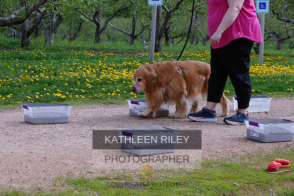 2022-KathleenRileyPhotography-8664