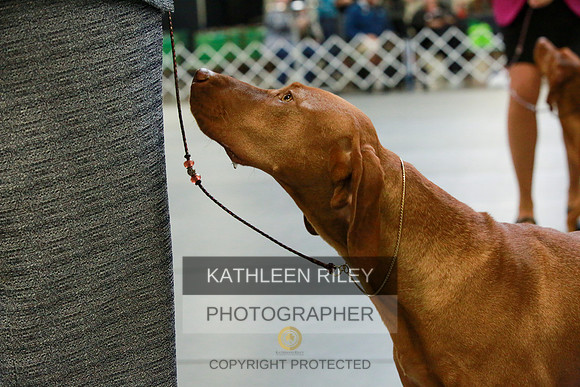 2022-KathleenRileyPhotography-8910