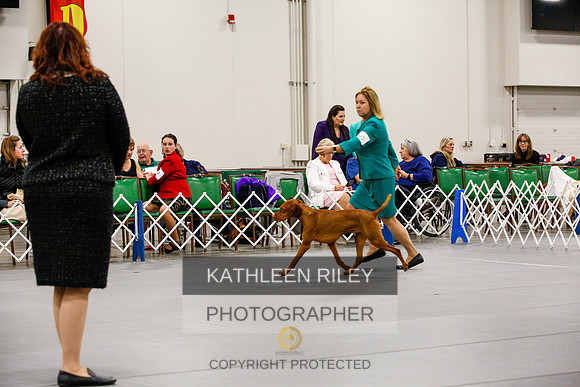 2022-KathleenRileyPhotography-1685