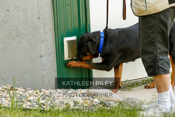 2022-KathleenRileyPhotography-0322
