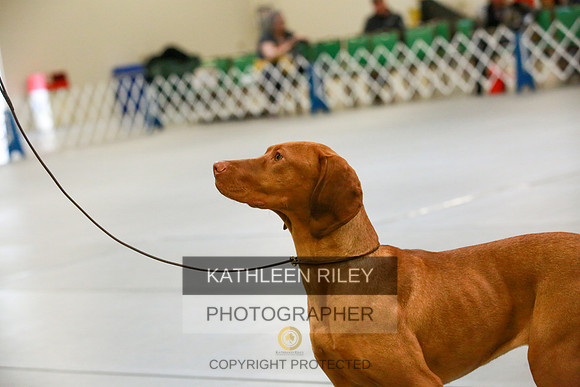 2022-KathleenRileyPhotography-8754