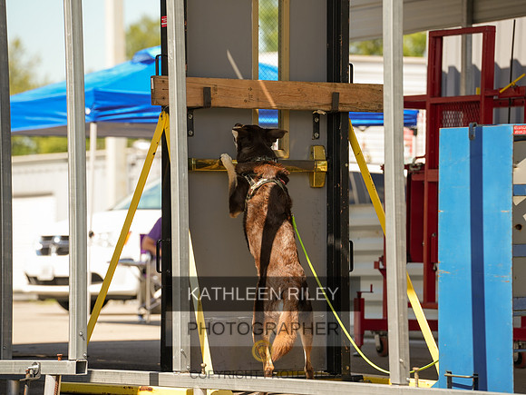 2022-KathleenRileyPhotography-04259