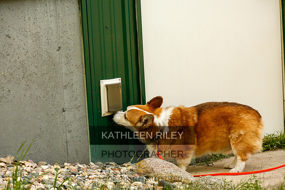 2022-KathleenRileyPhotography-0358