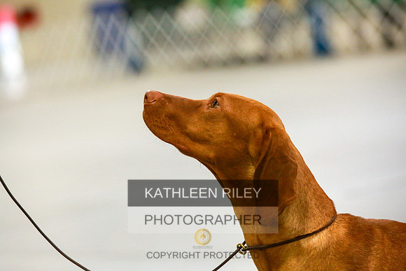 2022-KathleenRileyPhotography-8756