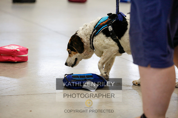 2022-KathleenRileyPhotography-7412