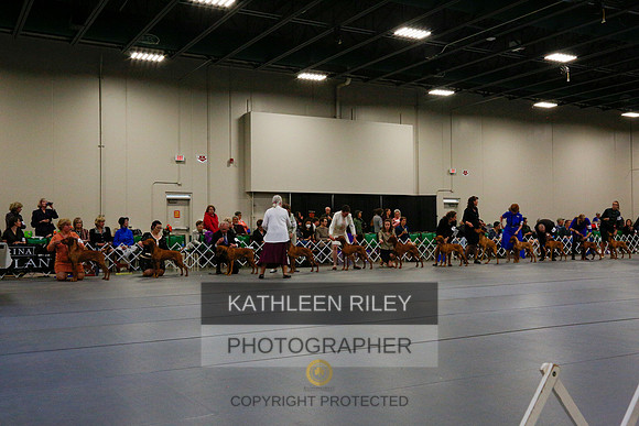 2022-KathleenRileyPhotography-6187