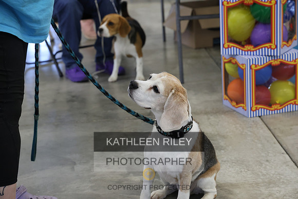 1N5A8463