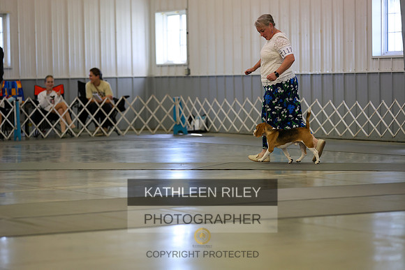 SJLT9270