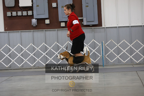 SJLT5295