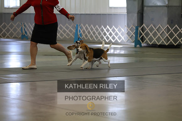 SJLT5306