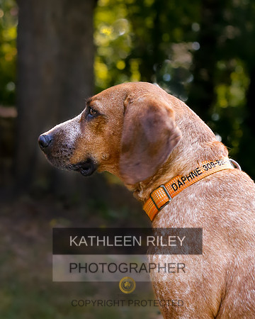 2022-KathleenRileyPhotography-8452