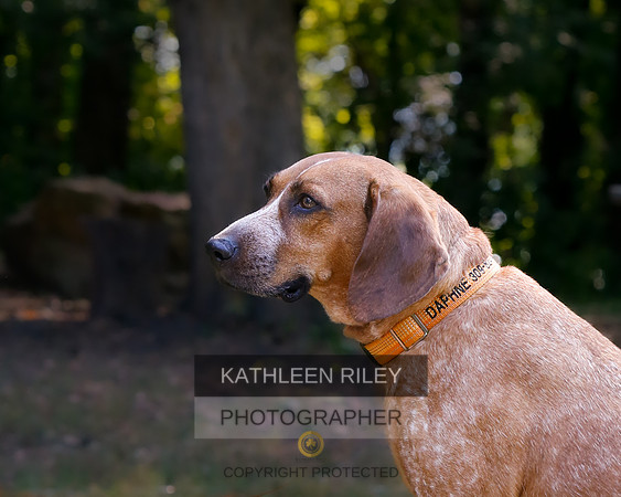2022-KathleenRileyPhotography-8454
