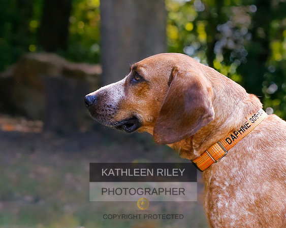 2022-KathleenRileyPhotography-8455