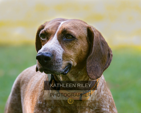 2022-KathleenRileyPhotography-8481