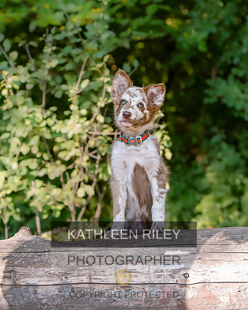 2022-KathleenRileyPhotography-8408
