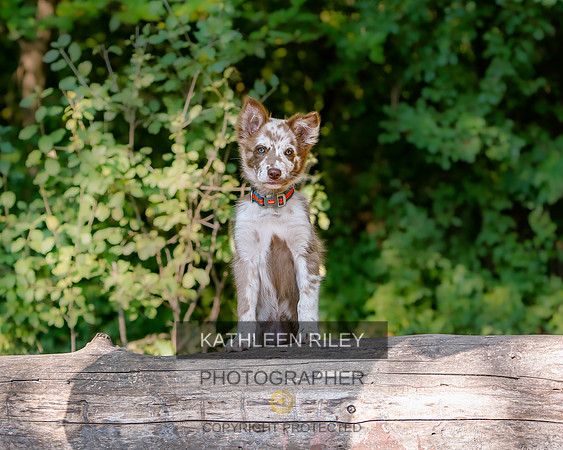 2022-KathleenRileyPhotography-8409