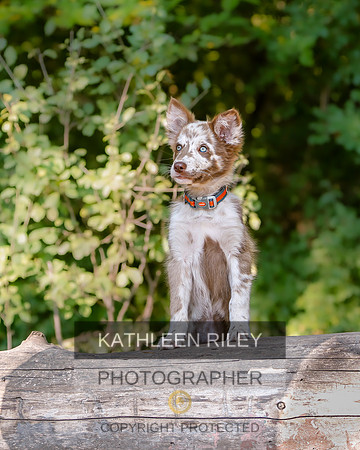 2022-KathleenRileyPhotography-8410