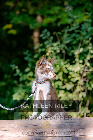 2022-KathleenRileyPhotography-8422