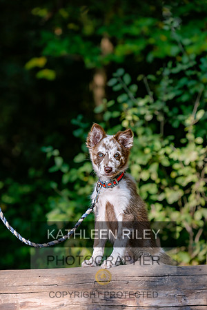 2022-KathleenRileyPhotography-8424