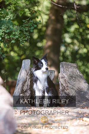 2022-KathleenRileyPhotography-8513