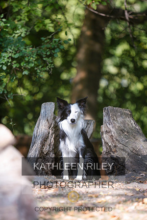 2022-KathleenRileyPhotography-8517