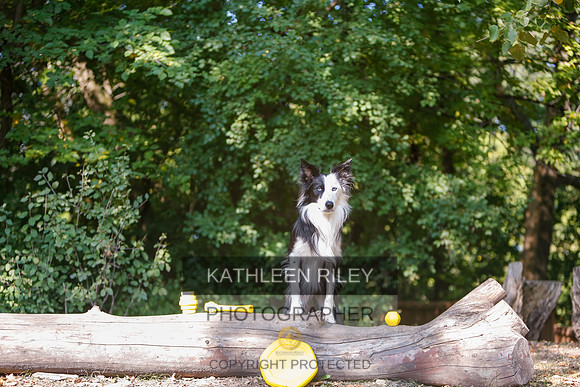 2022-KathleenRileyPhotography-8527