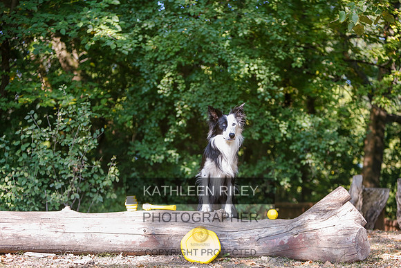 2022-KathleenRileyPhotography-8529