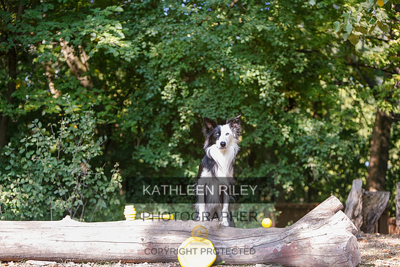 2022-KathleenRileyPhotography-8531