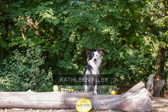 2022-KathleenRileyPhotography-8532