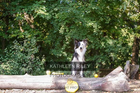 2022-KathleenRileyPhotography-8534