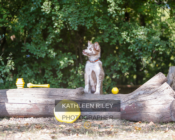 2022-KathleenRileyPhotography-8535