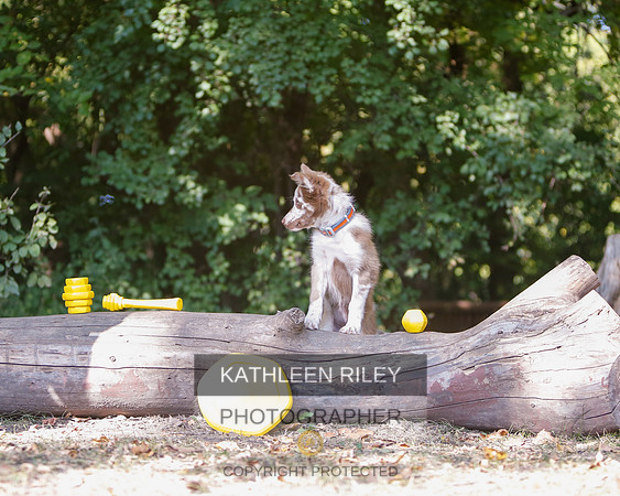 2022-KathleenRileyPhotography-8536