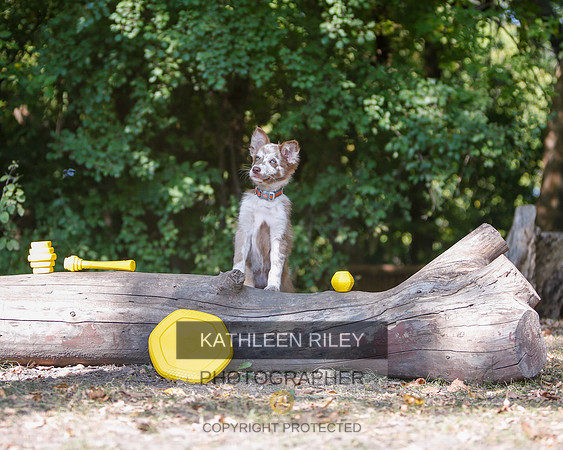 2022-KathleenRileyPhotography-8540