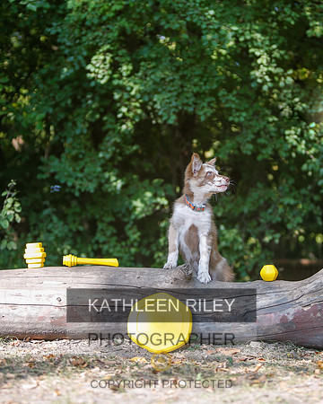 2022-KathleenRileyPhotography-8541
