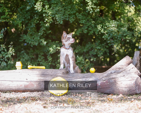 2022-KathleenRileyPhotography-8542